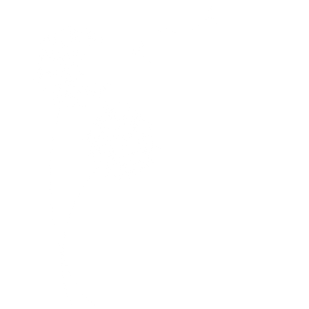 Minimalist black-and-white logo for Live Clean featuring a dandelion graphic and modern text.
